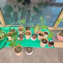 알로애 꽃집 | (수업후기) 원예수업 마지막 날 : 8개월 여정을 마치며 - 고맙고 소중했던 시간