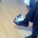 동글동글 이미지