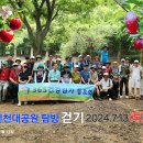 [제1151회 7/3] 인천 대공원 숲길 걷기 회계 보고 이미지