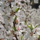 꺽쇠한우 이미지