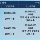 양양이펫 네이버블로그