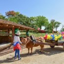 전국한우협회제천시지부