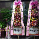 닥터포레두피피부센터 네이버블로그