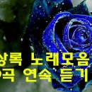 유상록/노래모음 20곡 이미지