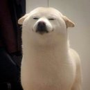 열우물로25번길 이미지