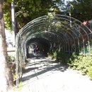 서울혜화초등학교 이미지