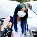 (주) 다미 이미지