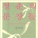 청춘의어부