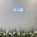 모드니장식 | [돌준맘2] 청주 소규모 돌잔치 ‘파티 모드니’ 답사 &amp; 계약 후기(짝꿍 할인)