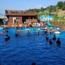 경희대국가대표태권도 이미지