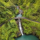 so tree farm 이미지