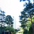 보평중학교 내 이미지