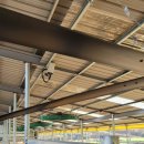 녹색농장 이미지