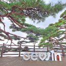 해파랑길 49코스 이미지