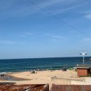 죽도오토캠핑장