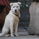 여명모텔 이미지