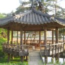 풍산태사로(서후면) 이미지