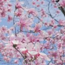 백골한의원 이미지