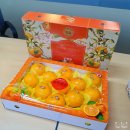 쇠소깍휴게소농수산직판장 | 천혜향 레드향 5kg 택배 쇠소깍 휴게소 농수산직판장