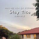 스테이티코 이미지