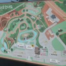 영신숲 외 가로수길 | 제주동화마을, 기차 타고 만나는 동화 속 세상 &amp; 도토리숲 대형 토토로까지