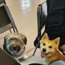 카페멍스 이미지