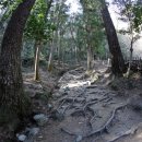 다산정비 이미지