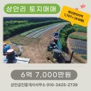 상안공인중개사사무소 이미지