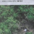 이 순간ㅣ세계유산 도전하는 운주사 석불석탑군/ 북두칠성 내려 앉은 산, 숲에 안긴 와불 한쌍…인류의 보물이로다(민중이 깨어나야 나라가 이미지