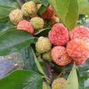 한울농장 이미지