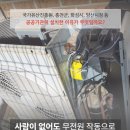 오토쉴드 네이버블로그