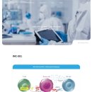WE MEDICAL | 이뮨온시아 홈페이지 제작 후기 | 과학적 신뢰와 브랜드 감성을 담은 디지털 아이덴티티
