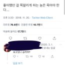 트위터 이짤은 나중엔 대한민국 국민수만큼 알티될듯 이미지