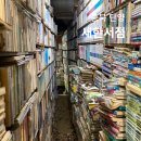 적성초 | 충북 단양 새한서점 숲속의 헌책방 가는길 주차