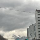 교촌치킨(교동점) 이미지