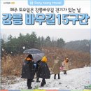 바우길 15구간 | [강릉여행] 강릉바우길15구간 강릉수목원 가는길 걷기
