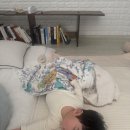 새지리산약국 | 가족이 주는 따뜻함, 제주 고사리 장마 🏡🌧️