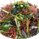 더블유티컴 이미지