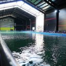 숲속애바다실내낚시터 이미지