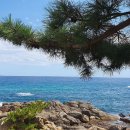 바다풍경 이미지