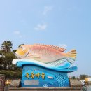 제주 남원 맛집 2곳 옥돔역식당 옥돔마을 옥돔요리 제주도 전복돌솥