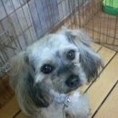 봉산초교(앞) 이미지