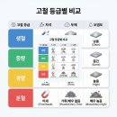 전일고철