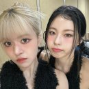 릴리212 이미지