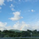 팜스빌리지 | 제주 서쪽 숙소 한림 독채펜션 탐나는 팜스빌리지 후기