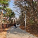 금호지 경관쉼터(소망교) | “전설이 흐르는 호숫길” 송림 속을 걷는 진주 금호지 5km 둘레길 산책