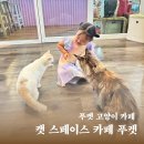 비스페이스(B.SPACE) | 아이와 푸켓 고양이 카페 캣 스페이스 카페 푸켓(Cat Space Cafe Phuket)