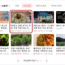 부흥로336번길 티스토리