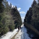 오케이테마타운 이미지