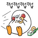 삼남매와 뭉치네 캠핑장 이미지